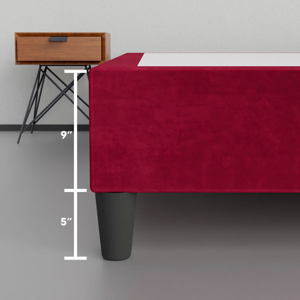 Spinal Solution Twin 14'' Wood Box Spring Wayfair